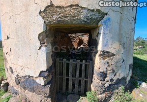 imagem_15