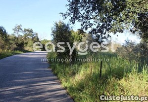 imagem_10