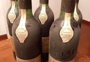 Vinho Tinto SÃO DOMINGOS Bairrada Garrafeira 1983 - 5 garrafas