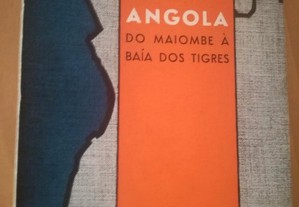 imagem_5