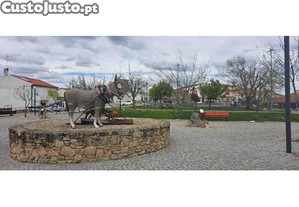 imagem_10