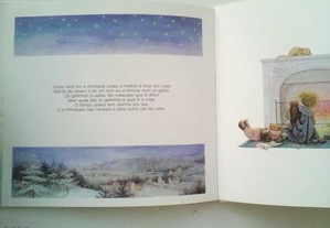 imagem_4