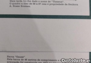 imagem_8