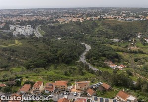 imagem_9