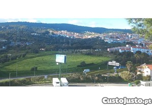 imagem_7
