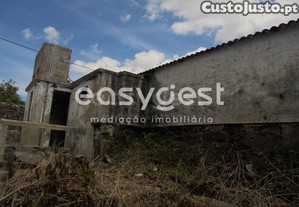 imagem_10