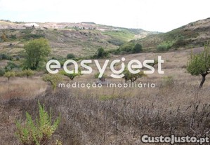 imagem_23