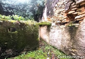 imagem_10