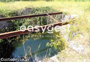 imagem_15