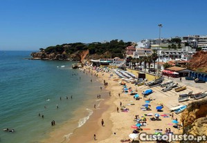 imagem_29