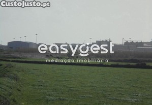 imagem_6
