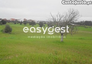 imagem_6