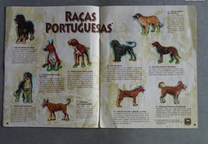 imagem_4