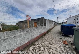 imagem_8