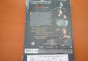 imagem_8