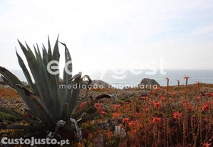 imagem_30