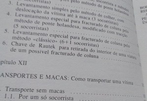 imagem_7