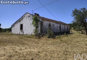 imagem_26