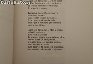 imagem_6
