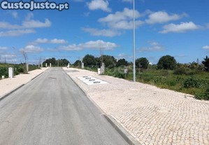 imagem_10