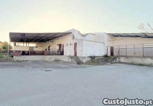 imagem_1
