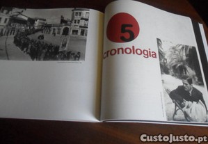 imagem_8