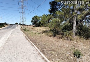 imagem_1