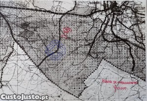 imagem_33