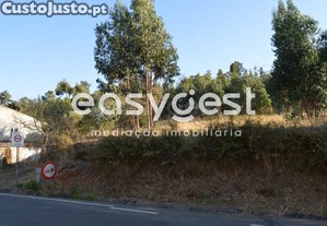 imagem_12