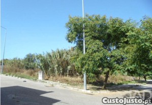 imagem_8