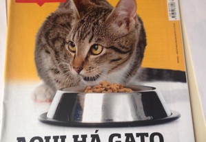 Revista ProTeste-Aqui há Gato