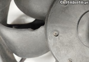 imagem_5