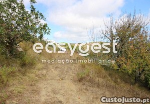 imagem_28