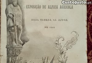 imagem_1