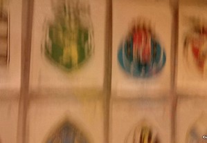 imagem_3