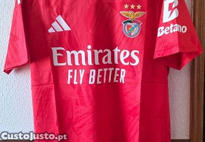 imagem_5