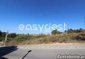 imagem_8