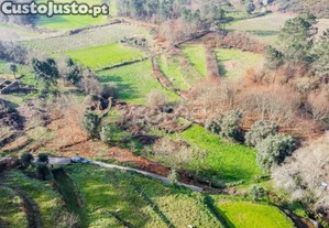 Terreno 9325 M², Ponte De Lima