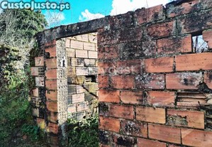 imagem_17