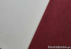 imagem_7