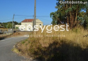 imagem_15