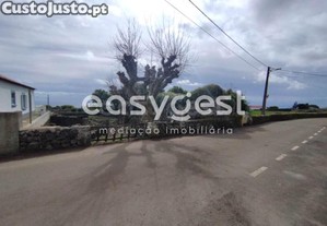 imagem_8