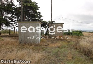 imagem_15