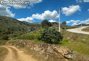 imagem_12