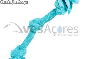 imagem_1