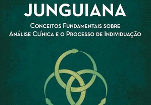 A experiência junguiana: Conceitos fundamentais sobre análise clínica