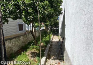 imagem_24