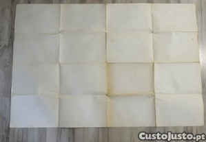 imagem_4