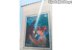 imagem_31