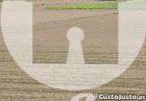 imagem_11